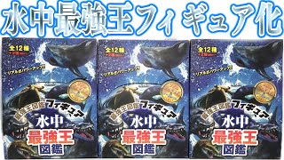 水中最強王図鑑がフィギュア化！特別カラーガチ神！！３箱 開封レビュー【おもちゃ】アノマロカリスもいる奇跡ミラコゥ！！！！！！