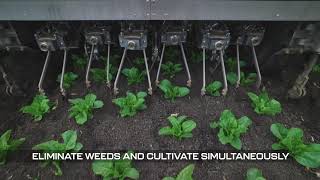 Auto Weeding machine