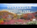 Visit Shenandoah National Park, Virginia | Fall Foliage 2020 in 4K