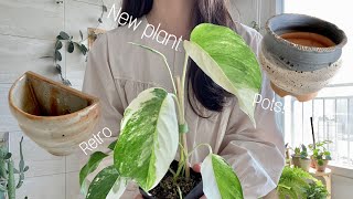 고삐 풀린 👩‍🌾👩‍🌾브이로그 (당근마켓 식물 구매 팁, 선유플라워그라운드, 레트로 화분 노다지 발견)