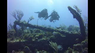 Diving in Statia 2018 - Saint Eustatius