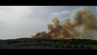 Ζάκυνθος : Μεγάλη φωτιά σε δασική έκταση στις Βολίμες – Εξετάζεται εκκένωση οικισμού