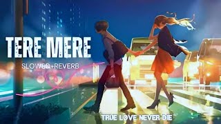 Tere Mere [Slowed & Reverb] | Stebin Ben | Asees Kaur || New Hindi Lofi Song || #teremere #stebinben
