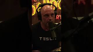 Joe Rogan Shares Awesome Wisdom From Jordan Peterson #shorts #quotes