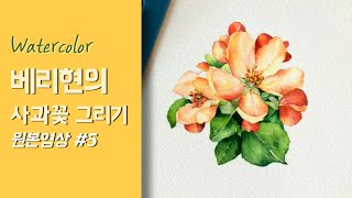 [베리현 수채화_무삭제 원본]사과꽃 그리기 #5 Watercolor painting flower tutorial Watercolour apple cherry blossom 수채화