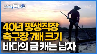 15,000평 대규모 염전 혼자서 40년 평생 지킨 할아버지｜상상도 못했던 고급 소금 천일염 만드는 방법｜극한직업｜#골라듄다큐｜