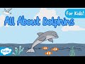 All About Dolphins for Kids! | Dolphin Facts 🐬