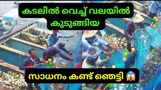 കടലിൽ വെച്ച് വള്ളക്കാരുടെ വലയിൽ കുടുങ്ങിയത് 😱 | Makri fish