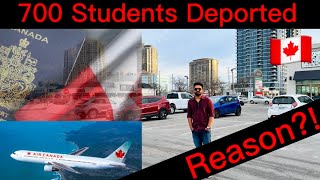 700 International students deported from Canada!! | 🇨🇦 | IRCC | CBSA | Fake Certificate | Reason |