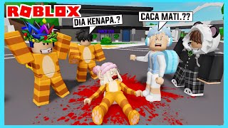 Adiku Hampir Meninggoy Karna Menyelamatkan Kucing Di Roblox Brookhaven ft @Shasyaalala