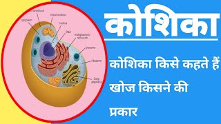 कोशिका की खोज किसने और कब किया। कोशिका किसे कहते हैंWho discovered the cell and when.What is a cell?