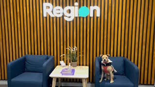 A day in the life of Mr Smiggle - Region Media's head of HR