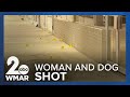 Woman and dog shot in Anne Arundel County