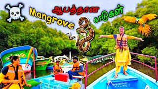 💥🫣Magrove காட்டுக்குள்ள Thrilling-ஆன ஒரு Boat Ride😱😥Hidden Place in Pondicherry😍🔥| Media பட்டதாரி