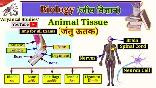 Animal Tissue (जंतु ऊतक) | Biology Lecture #03 | with Diagrams \u0026 Animation