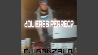 ¿Quieres Perreo?