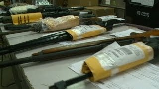 Chicago's Murder Rate Shows a Decline