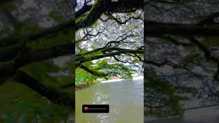 #kerala #shorts #ship #reels #youtube #youtubeshorts #weather #instagram #sea #viral #viralvideo