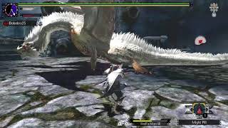 Solo Farming of White Fatalis Vs. Adept Dual Blades