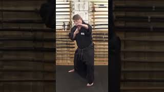 NINJA SELF DEFENSE TECHNIQUE 🥷🏻 Gyokko Ryu Kosshijutsu: Danshu Kata #Shorts