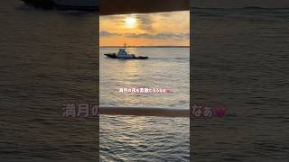 【東京湾フェリー】浜金谷港から久里浜港まで🛳️✨40分のプチプラ船旅♪＠こっこっちwalk#東京湾フェリー#千葉#横須賀#フェリー#vlog#shorts