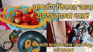 প্রতিদিন টমেটোর রেসিপি করার কারণ কি? ||MRITTIKA'S HEAVEN || Bengali vlog|| #1176 #millionviews