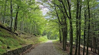 Trekking da Pianaccio Segavecchia ai Bagnadori