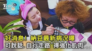 好消息! 納豆最新病況曝 可說話.自行走路「得強化肌肉」｜TVBS新聞