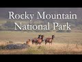 Rocky Mountain National Park 4k | Canon90D | Landscape Photography | Wildlife Photography