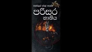 එක්ස්ප්‍රස් පර්ල් නැවේ පරිසර හානිය | Ship Fire Environmantal Damage | Chemostore Official | #Shorts