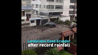 Landslides flood Ecuador after record rainfall