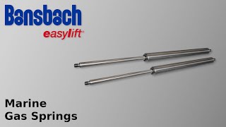 Marine Gas Springs