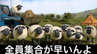 久しぶりに見たひつじのショーンの「ティミーのサーカス」にツッコミを入れてみたら面白すぎた #ひつじのショーン