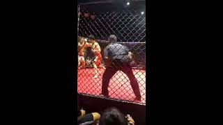 UFC Commentator Dae Hwan Kim Wardog Cage Fight 13