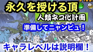 にゃんこ 永久を授ける頂 準備してニャンピュ！ 人類ネコ化計画 にゃんこ大戦争 ユーザーランク21624 キャラレベルは説明欄に