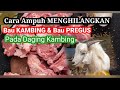 Tips menghilangkan bau prengus pada daging kambing