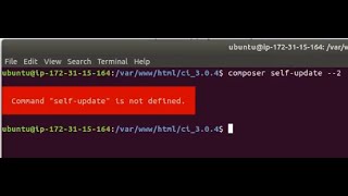 How to fix composer error upgrade version 2.2  - Command "self-update" is not defined in ubuntu18.04