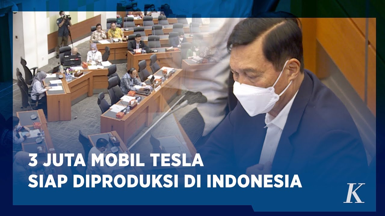 Luhut Ungkap Rencana Investasi Tesla Di Indonesia - YouTube