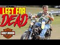 Harley Davidson Abandoned for 20 Years | 1983 Ironhead Sportster