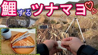 【釣り】パン鯉で釣った錦鯉でシーチキン作ってホットサンドして食べてみた