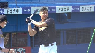 【佐藤輝明選手】OP戦・試合前の打撃練習