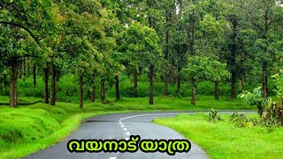 Wayanad Vlog part 1/വയനാട് യാത്രയും,ഞങ്ങളുടെ കുഞ്ഞു ക്രിസ്മസ് സെലിബ്രേഷനും#wayanad