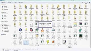Cracking P-Code Visual Basic
