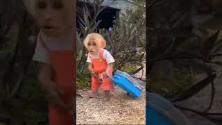 வேலைக்கி போனதான் சோறு போடு வாங்கலாம் #funny 🐒🙊😡😀🐓😀😅🥹🥹😭😭 monkey dialogue trending viral videos