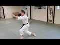 Dragons- Advanced Aiki-Kids Session 2