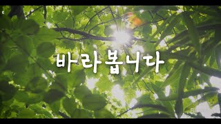 바라봅니다 | 김효경