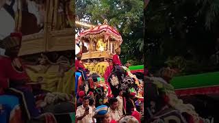 Mysore Dasara jambu savari | World famous mysore Dasara #like #shortsvideo