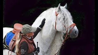 LUSITANO ZEUS