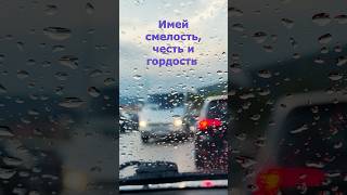 Сильные слова со смыслом  #цитаты #философия #мудрость