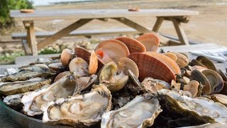 Wie man Austern in der Bretagne isst? Speisen wie die Königinnen auf der Austernzucht am Belon